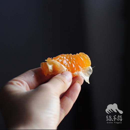生态蜜桔 | 合作生产* Eco-tangerine | Coproducted 商品图6