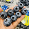 云南怡颗莓18+蓝莓王（125g/盒） 商品缩略图4
