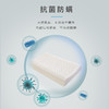  【全新升级】嘉莉娅中童乳胶枕 斯里兰卡原产地现采现加工 天ran乳胶含量92~95% 邓禄普工艺 人体工学柔软弹性型设计 尺寸误差1cm左右  商品缩略图3