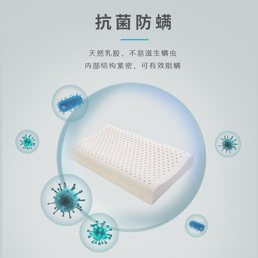  【全新升级】嘉莉娅中童乳胶枕 斯里兰卡原产地现采现加工 天ran乳胶含量92~95% 邓禄普工艺 人体工学柔软弹性型设计 尺寸误差1cm左右  商品图3
