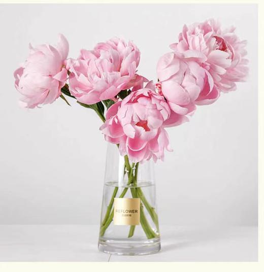 共建实物无规格商品13 商品图0