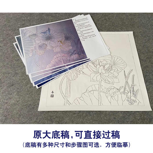 【有步骤、大彩图】杨冬冬工笔画白描底稿斗方小品《烟雨微香》荷花翠鸟初学者临摹花鸟线稿HD50 商品图1