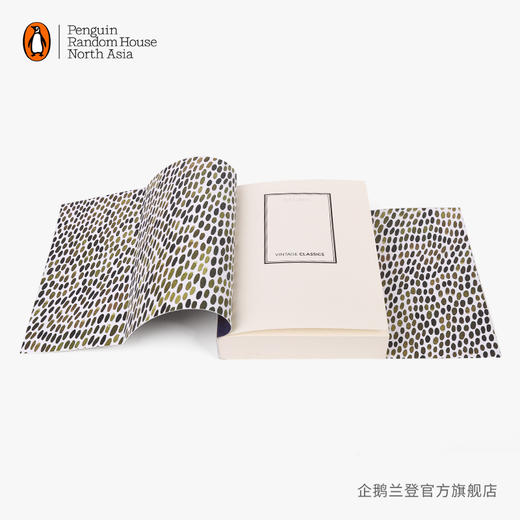 嘉德文库|【企鹅兰登】岁月The Years (Vintage Classics Woolf Series) 英文原版进口书籍 Vintage伍尔夫经典系列 商品图3