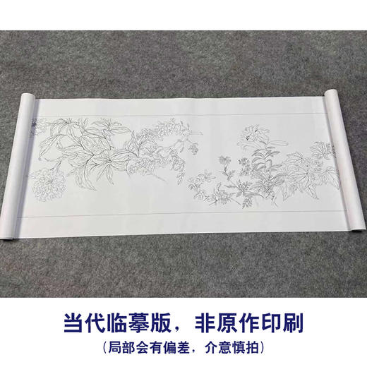 【长卷】工笔花鸟画白描底稿古画长卷恽寿平《百花图卷》多种白描尺寸可选G040 商品图1