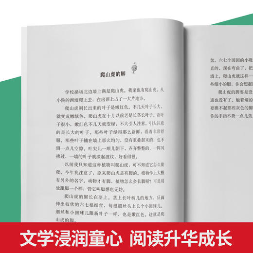 大语文名家名著三部曲系列（全15册）6岁+ 让孩子爱上阅读，勇于表达，提高写作 商品图3