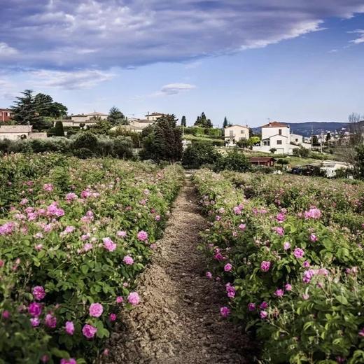 法国 Dior迪奥 永恒的爱淡香水100ml （茉莉花香调） 商品图2