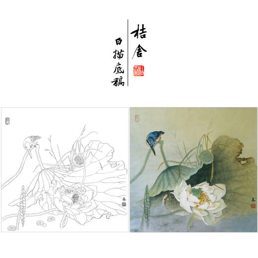 【有步骤、大彩图】杨冬冬工笔画白描底稿斗方小品《纤手弄琼珠》荷叶荷花翠鸟初学者临摹花鸟线稿HD53 商品图0