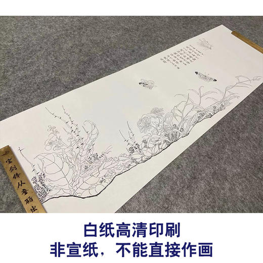 【长卷】工笔花鸟蝴蝶画白描底稿古画长卷赵昌《写生蛱蝶图》多种白描尺寸可选G005 商品图2