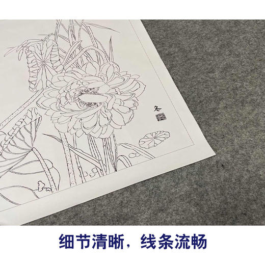 【有步骤、大彩图】杨冬冬工笔画白描底稿斗方小品《梦水瑶》荷花麻雀初学者临摹花鸟线稿HD54 商品图4