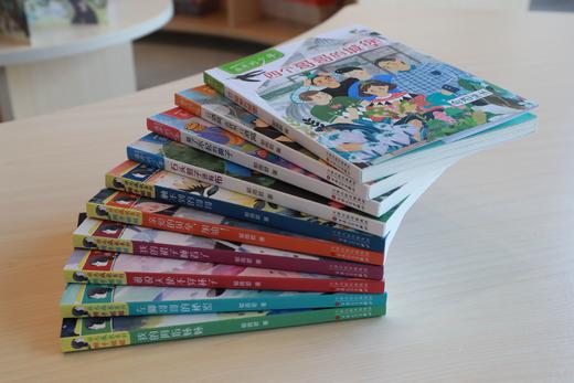 《辫子姐姐》全10册 商品图2