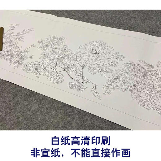 【长卷】工笔花鸟画白描底稿古画长卷钱维城《万有同春图》多种白描尺寸可选G033 商品图2
