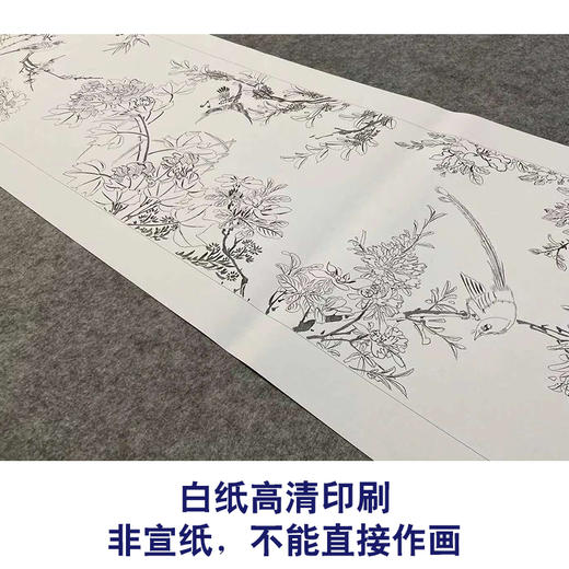 【长卷】工笔画白描底稿古画长卷《四时花鸟图》多种白描尺寸可选G026 商品图2