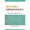 煤层自然发火预测预报及防治技术/郭立稳 王福生 武建国 康志强 商品缩略图0