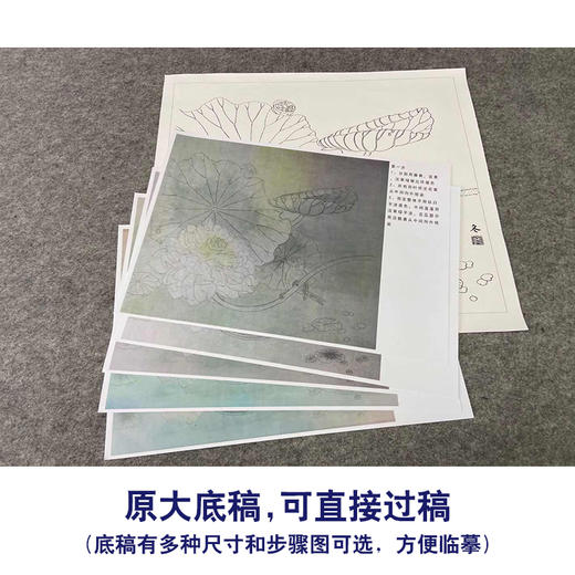 【有步骤、大彩图】杨冬冬工笔画白描底稿斗方小品《清池素影》荷花麻雀初学者临摹花鸟线稿HD52 商品图1