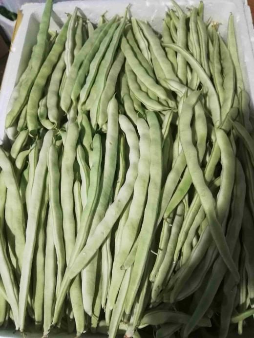 芸扁豆(2斤左右)产地山东寿光