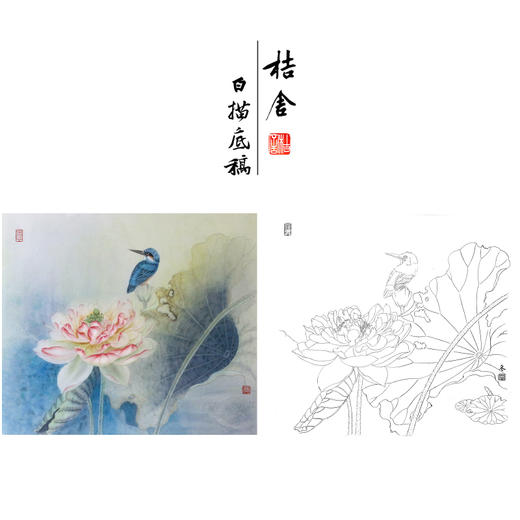 【有步骤、大彩图】杨冬冬工笔画白描底稿斗方小品《美目盼兮》荷花翠鸟初学者临摹花鸟线稿HD49 商品图0