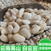 【秒杀】高原雪豆白芸豆450g*2袋装 商品缩略图0