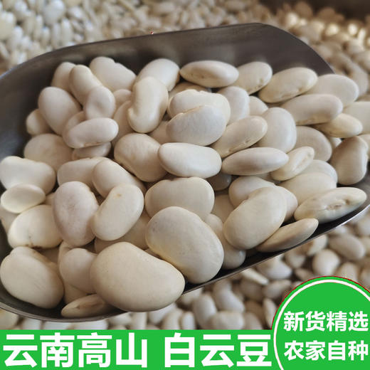 【秒杀】高原雪豆白芸豆450g*2袋装 商品图0