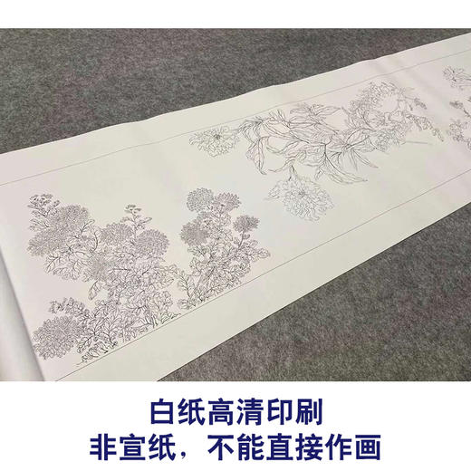 【长卷】工笔花鸟画白描底稿古画长卷恽寿平《百花图卷》多种白描尺寸可选G040 商品图2