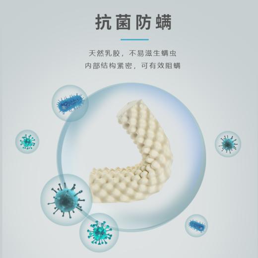 【全新升级】嘉莉娅高低颗粒按摩乳胶枕 斯里兰卡原产地现采现加工 天ran乳胶含量92~95% 邓禄普工艺 人体工学柔软弹性型设计  尺寸误差1cm左右 商品图2