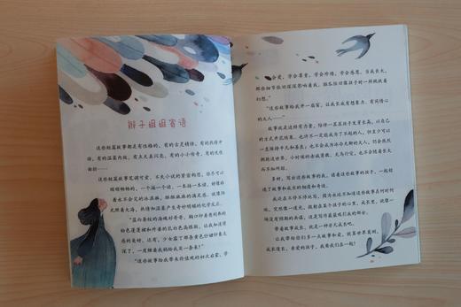 《辫子姐姐》全10册 商品图3