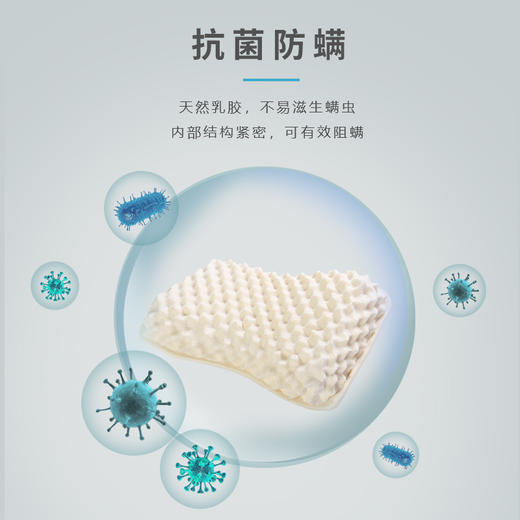  【全新升级】嘉莉娅女士美容颗粒乳胶枕 斯里兰卡原产地现采现加工 天ran乳胶含量92~95% 邓禄普工艺人体工学柔软弹性型设计 尺寸误差1cm左右  商品图2