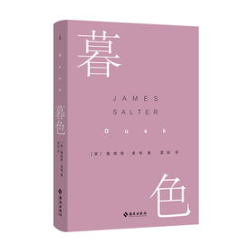 暮色  美]詹姆斯·索特 著 美国当代文学被遗忘的英雄”詹姆斯·索特短篇小说代表作