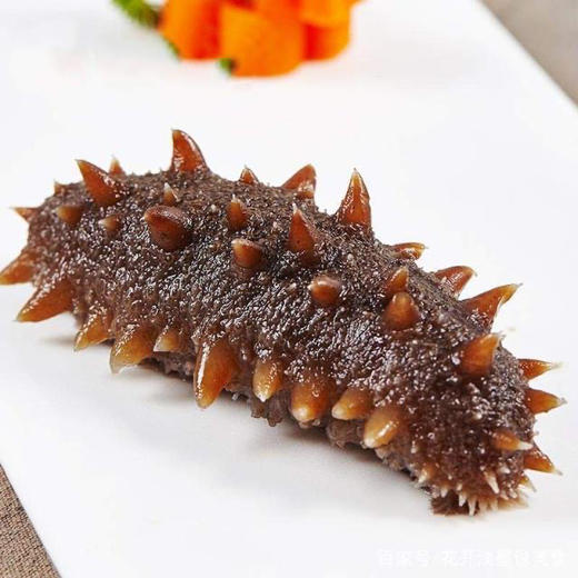 【健康养生快乐生活系列】物稻®️第五季渤海湾海参 商品图3