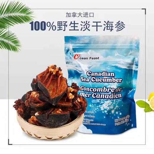 Ocean feast海洋盛宴北极海参开口参（带花） （一般贸易） 商品图1