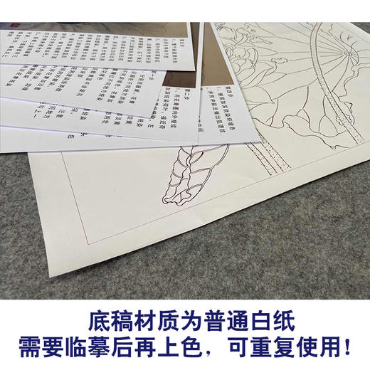 【有步骤、大彩图】杨冬冬工笔画白描底稿斗方小品《美目盼兮》荷花翠鸟初学者临摹花鸟线稿HD49 商品图3