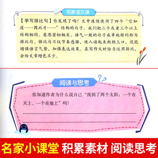 金波四季童话美文注音版全套4册 树和喜鹊沙滩上的童话雨点儿阳光一年级阅读课外书必读老师推荐人教版课文作家作品春夏秋冬天书籍 商品图4