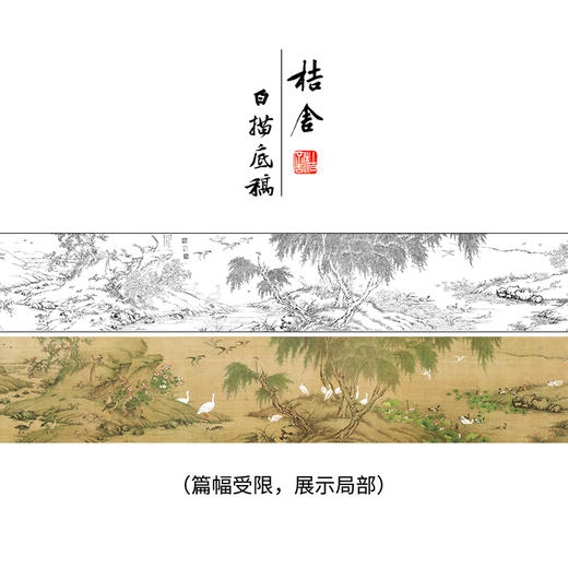 【长卷】工笔花鸟画白描底稿古画长卷沈铨《百鸟朝凤图》多种白描尺寸可选G041 商品图0