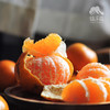 生态蜜桔 | 合作生产* Eco-tangerine | Coproducted 商品缩略图1