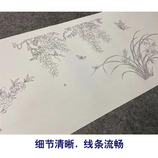 【长卷】工笔画白描底稿古画长卷佚名《古代花鸟图》多种白描尺寸可选G030 商品图3