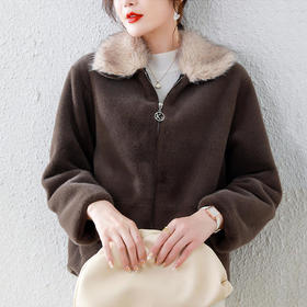 HR-WH68179 2021冬季新款简约式仿皮草气质通勤外套上衣女短款