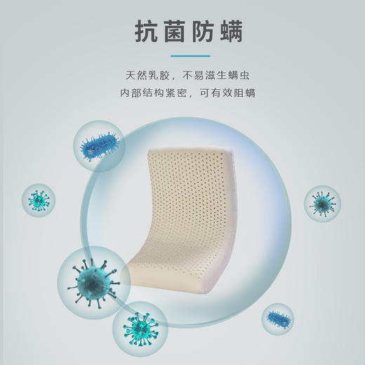  【全新升级】嘉莉娅面包乳胶枕 斯里兰卡原产地现采现加工 天ran乳胶含量92~95% 邓禄普工艺 人体工学柔软弹性型设计 尺寸误差1cm左右  商品图2