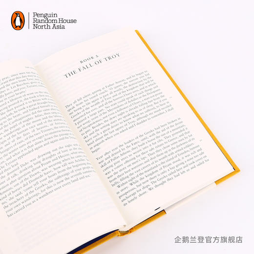 嘉德文库|【企鹅兰登】The Aeneid 埃涅阿斯纪 古罗马文学 维吉尔 企鹅布纹经典系列 史诗 希腊神话故事 荷马之后伟大的史诗诗人 英文原版书 商品图4