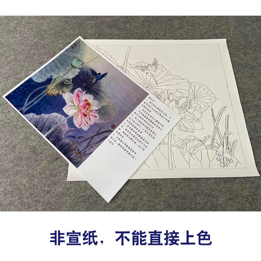 【有步骤、大彩图】杨冬冬工笔画白描底稿斗方小品《烟雨微香》荷花翠鸟初学者临摹花鸟线稿HD50 商品图2