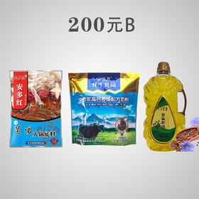 【预售】200元帮扶B套餐