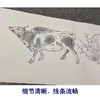【长卷】工笔动物画白描底稿古画长卷韩滉《五牛图》多种白描尺寸可选G013 商品缩略图3