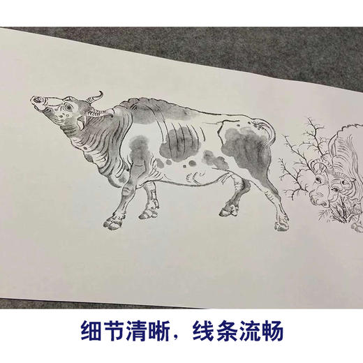 【长卷】工笔动物画白描底稿古画长卷韩滉《五牛图》多种白描尺寸可选G013 商品图3