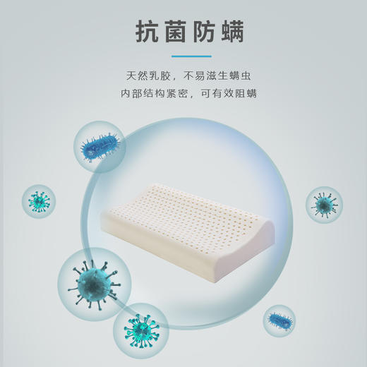  【全新升级】嘉莉娅大童乳胶枕 斯里兰卡原产地现采现加工 天ran乳胶含量92~95% 邓禄普工艺 人体工学柔软弹性型设计 尺寸误差1cm左右  商品图3