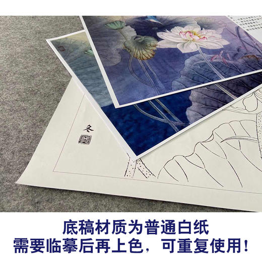 【有步骤、大彩图】杨冬冬工笔画白描底稿斗方小品《烟雨微香》荷花翠鸟初学者临摹花鸟线稿HD50 商品图3