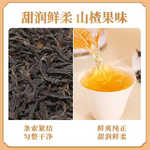 正山堂骏眉中国 四川广元红大秦岭 红茶特级茶叶骏眉工艺罐装50g/100g 商品图1