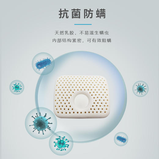  【全新升级】嘉莉娅婴儿定型乳胶枕 斯里兰卡原产地现采现加工 天ran乳胶含量92~95% 邓禄普工艺 人体工学柔软弹性型设计 尺寸误差1cm左右  商品图2