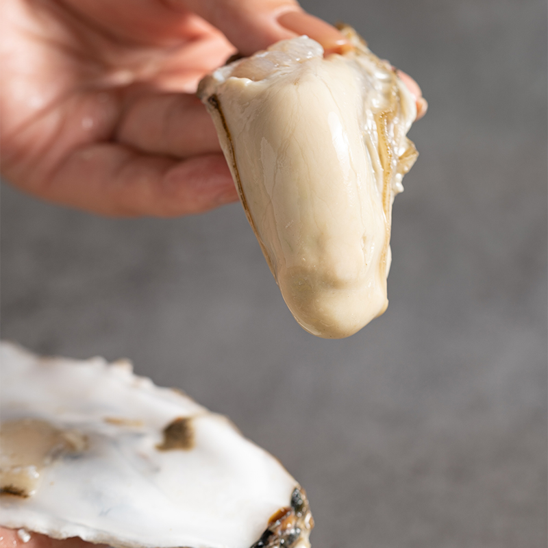 精品乳山生蚝（5斤）