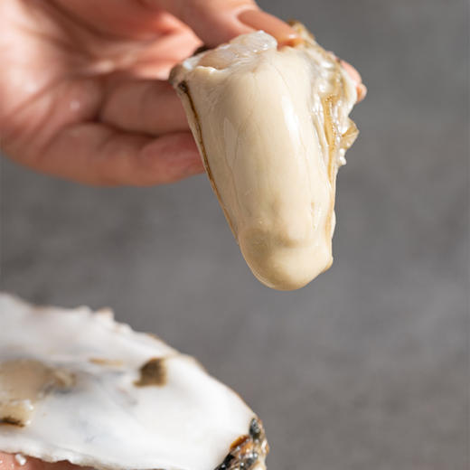 精品乳山生蚝（5斤） 商品图0