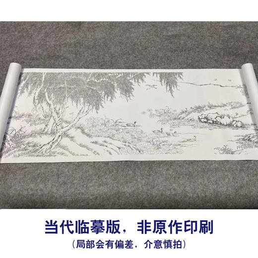 【长卷】工笔花鸟画白描底稿古画长卷沈铨《百鸟朝凤图》多种白描尺寸可选G041 商品图1