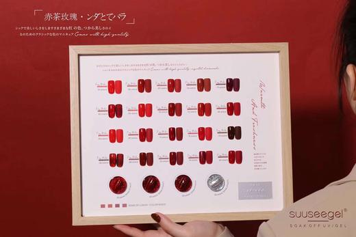 爆火开店红 特别版24色套装（秒杀） 商品图0