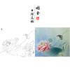 【有步骤、大彩图】杨冬冬工笔画白描底稿斗方小品《清秋》荷花麻雀初学者临摹花鸟线稿HD51 商品缩略图0